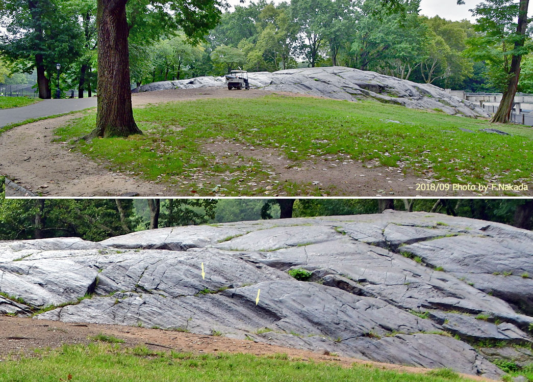 世界の地質案内 アメリカ ニューヨーク州 セントラルパークの迷子石と基盤岩 地質情報ポータルサイト